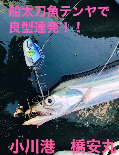 話題の船太刀魚テンヤを静岡でやってみた♪秋発売予定の仕掛けのテスト